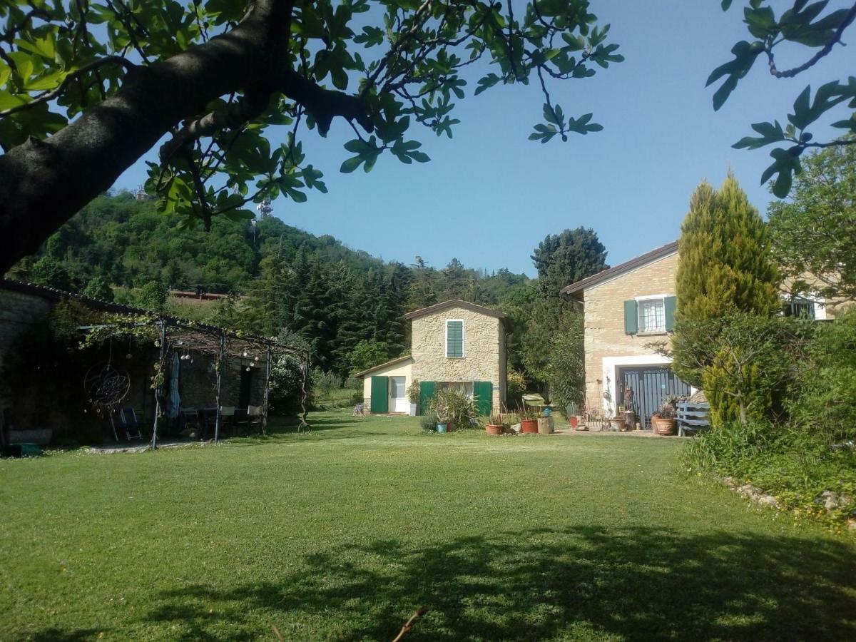 La Cana Dolce Bertinoro Dış mekan fotoğraf