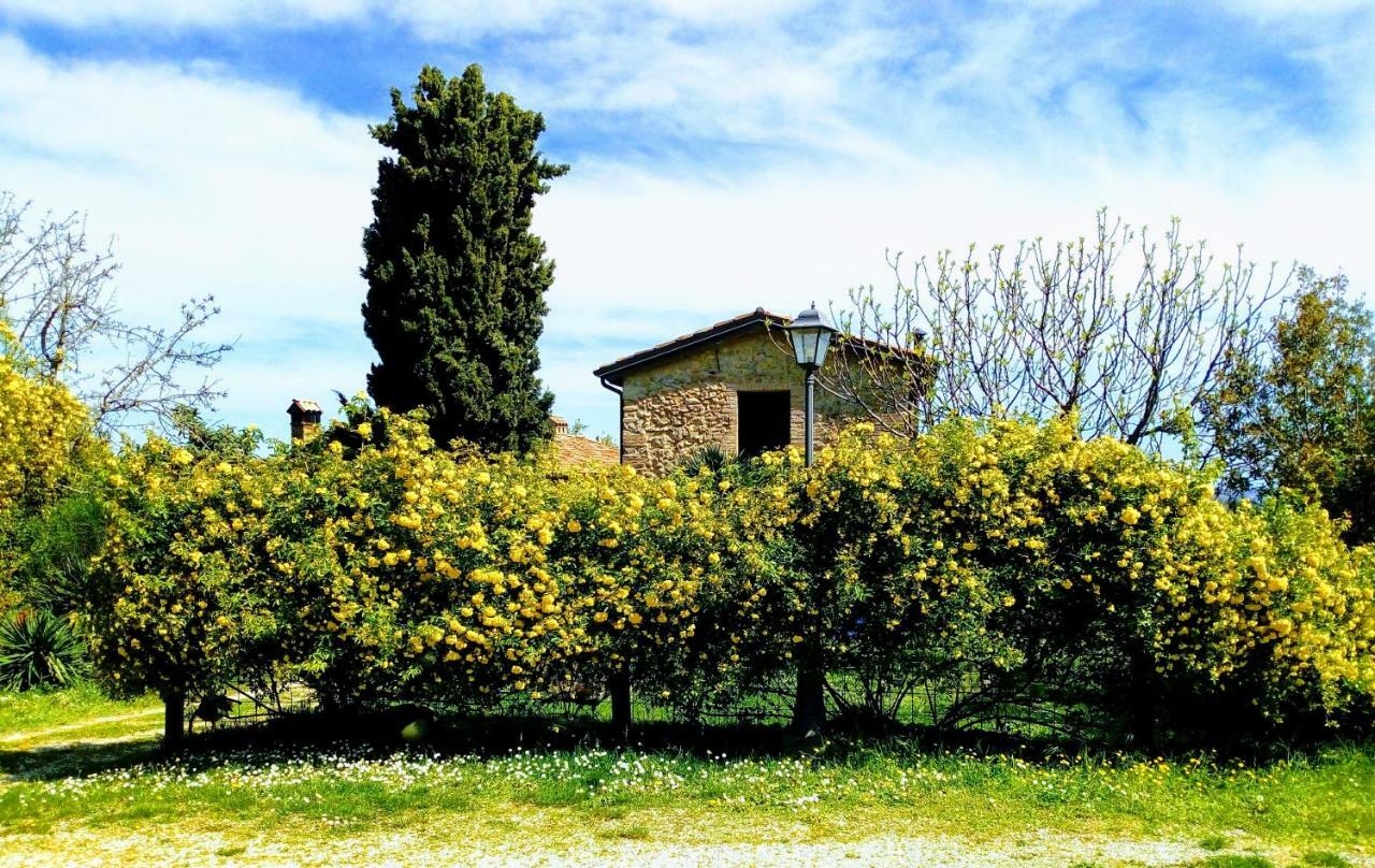 La Cana Dolce Bertinoro Dış mekan fotoğraf